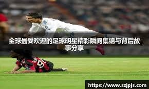 21点什么时候该停（21点何时该停牌）