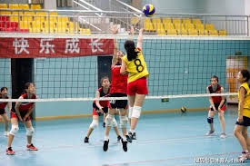 奥尔良羽球超级300赛｜雷西：过于执着完美击球 “阿叶组合适得其反”