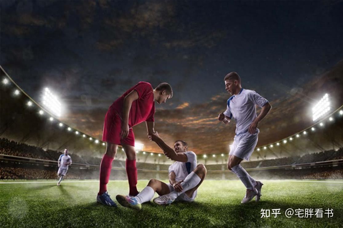 国羽整体表现分析 稳定性与突破并存