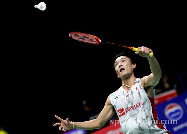 也是林诗栋 也是林诗栋