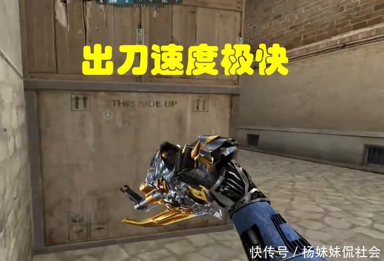更是NIP